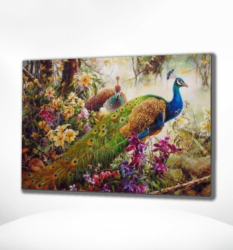 Schilderen op Nummer Pauwen