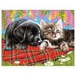 Schilderen op Nummer Puppy en Kitten