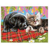Schilderen op Nummer Puppy en Kitten