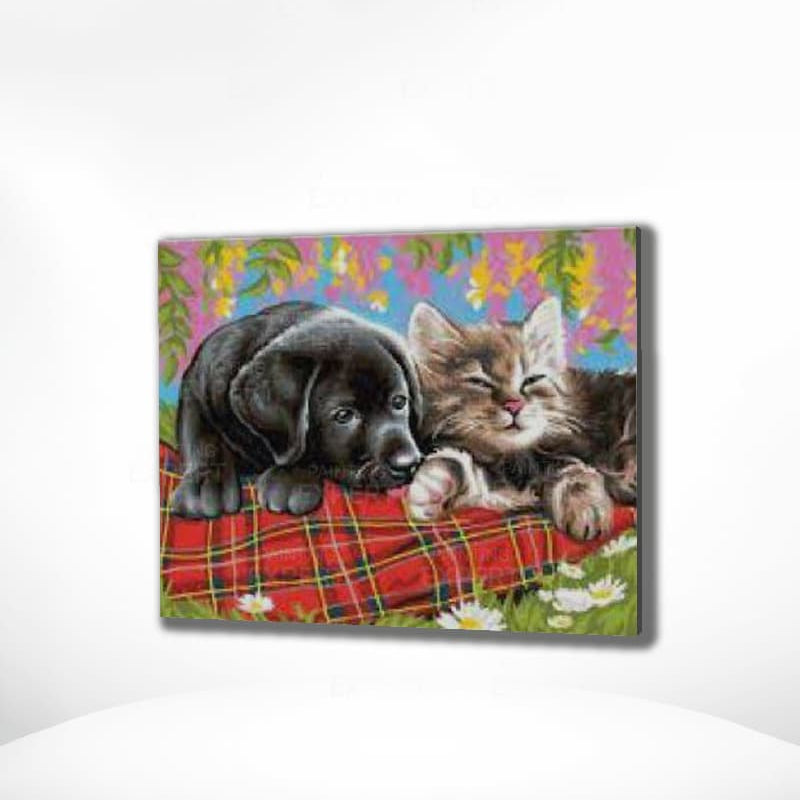 Schilderen op Nummer Puppy en Kitten