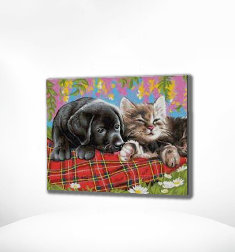 Schilderen op Nummer Puppy en Kitten