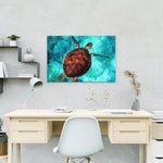 Schilderen op Nummer Schildpad (Met Lijst)