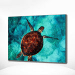 Schilderen op Nummer Schildpad (Met Lijst)