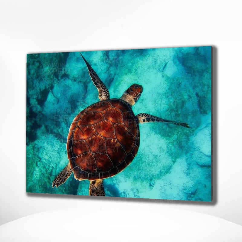 Schilderen op Nummer Schildpad (Met Lijst)