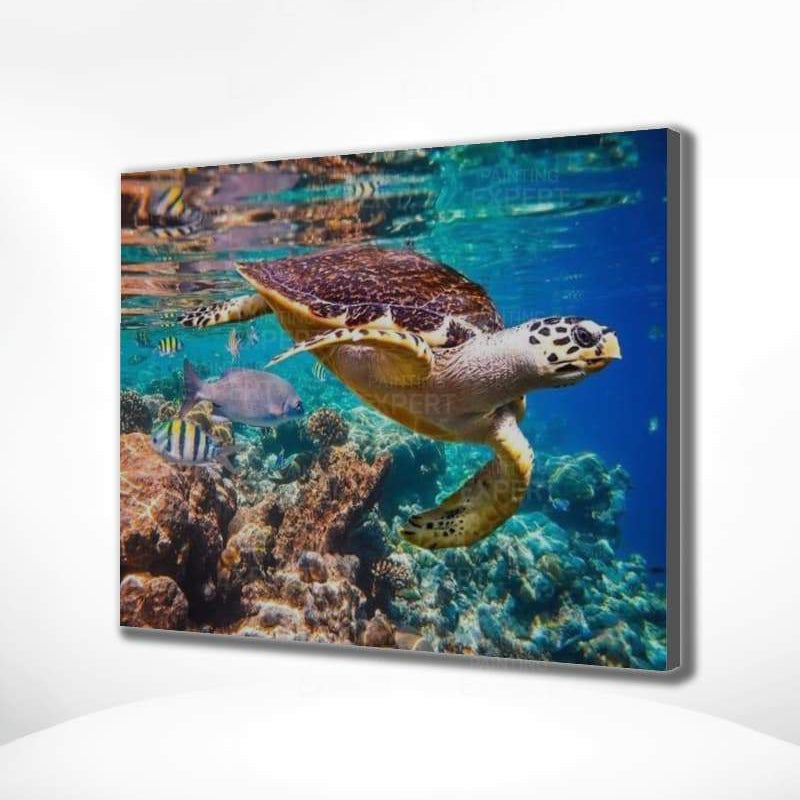 Schilderen op Nummer Schildpad Zee