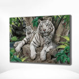 Schilderen op Nummer Tijgers