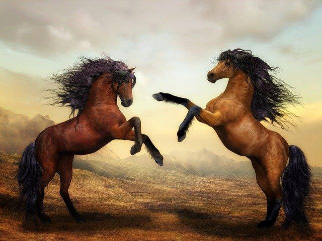 Schilderen op Nummer Twee Paarden