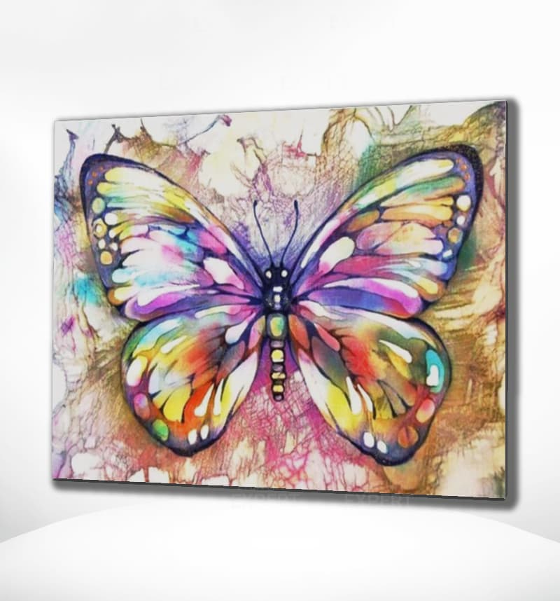 Schilderen op Nummer Vlinder