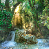Schilderen op Nummer Waterval