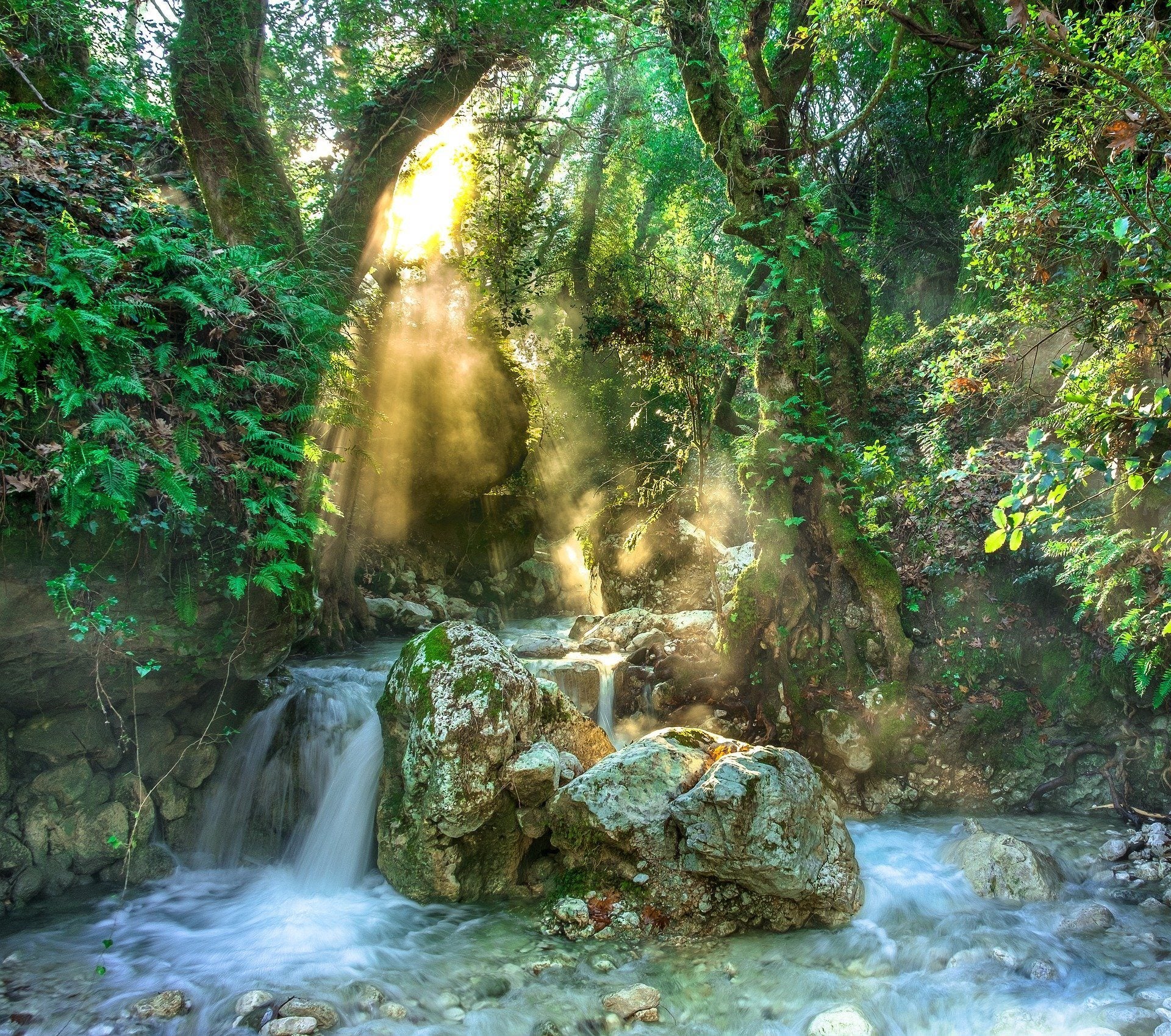 Schilderen op Nummer Waterval