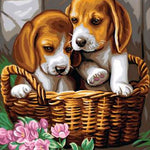 Schilderen op nummer 2 Puppy's