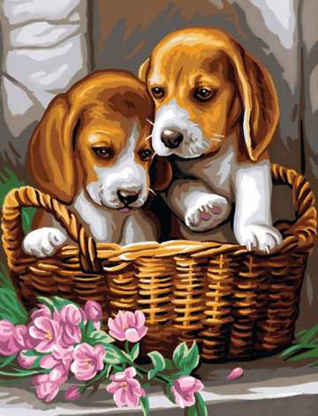 Schilderen op nummer 2 Puppy's