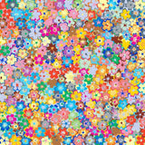 Schilderen op nummer Abstracte Bloemen