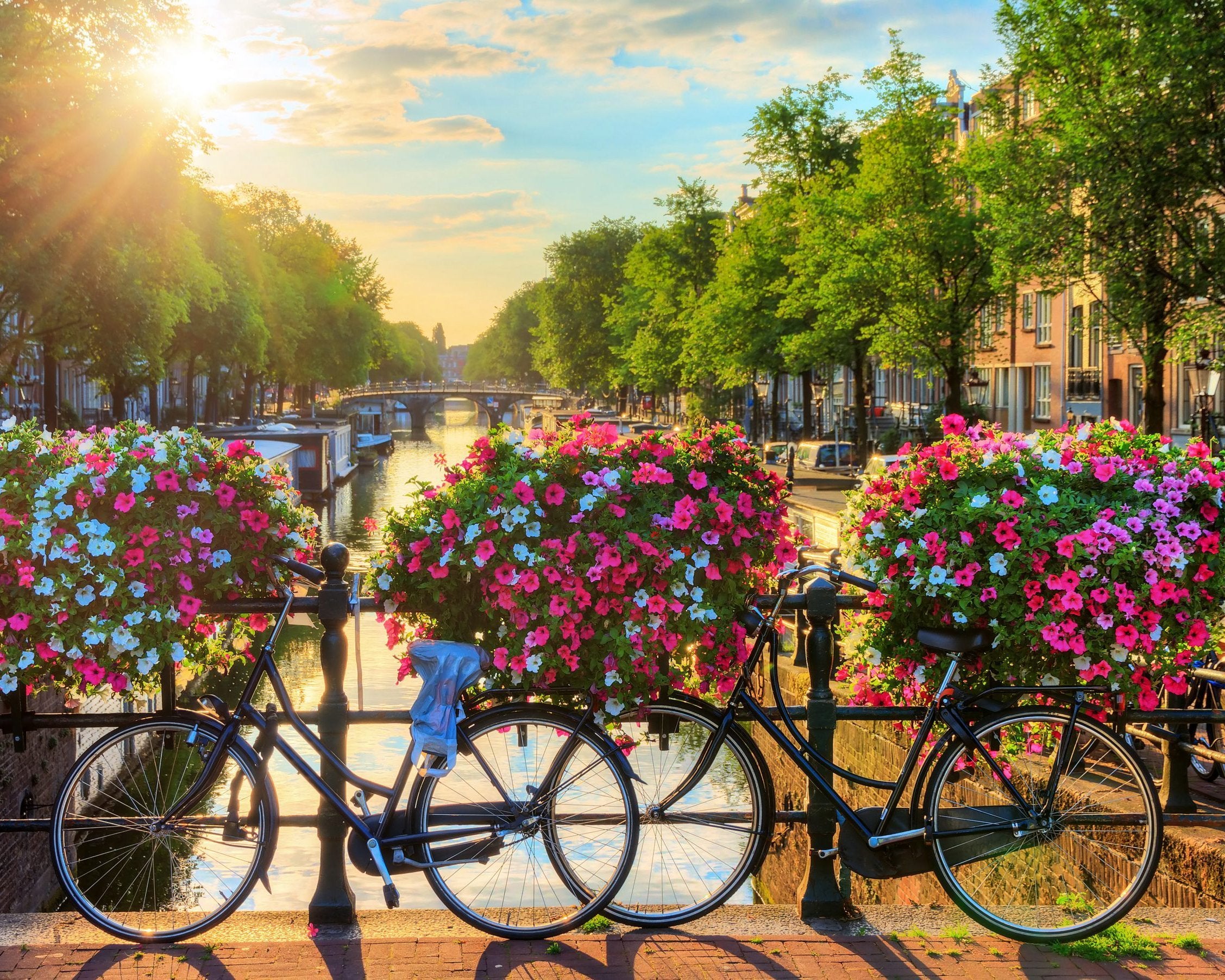 Schilderen op nummer Amsterdam Bloemetjes