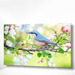 Schilderen op nummer Blauw Vogeltje
