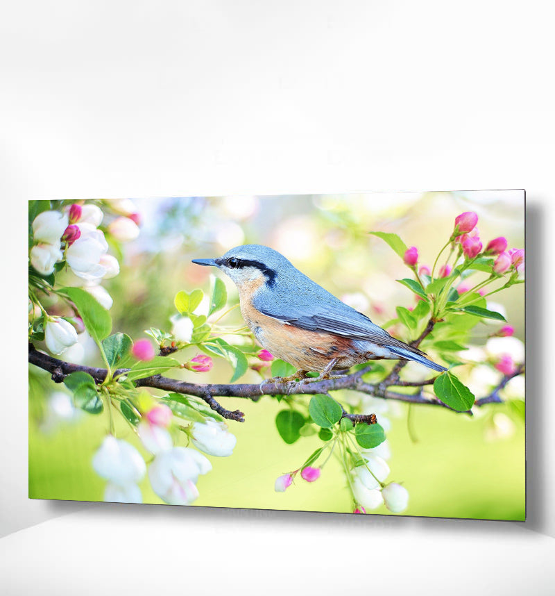 Schilderen op nummer Blauw Vogeltje