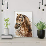 Schilderen op nummer Bruin Paard