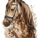 Schilderen op nummer Bruin Paard