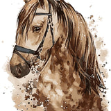 Schilderen op nummer Bruin Paard