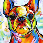 Schilderen op nummer Bulldog Vrolijke Kleuren