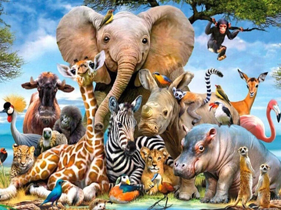 Schilderen op nummer Dieren Safari