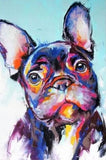 Schilderen op nummer Gekleurde Bulldog-Painting Expert
