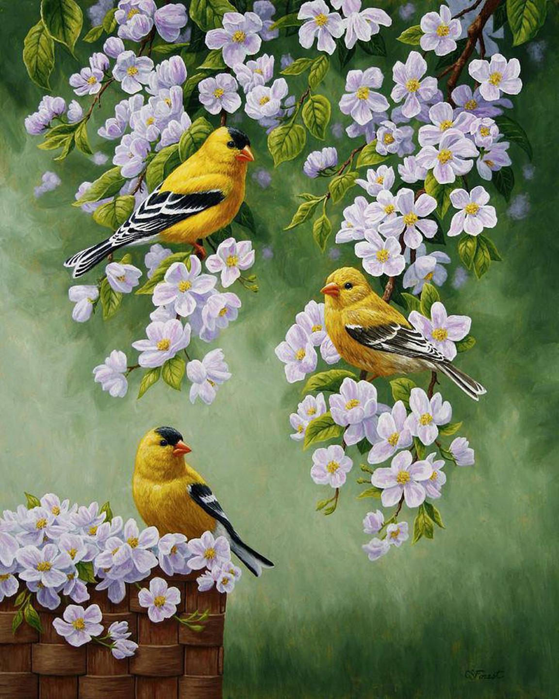 Schilderen op nummer Gele Vogeltjes met Witte Bloemen