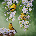 Schilderen op nummer Gele Vogeltjes met Witte Bloemen