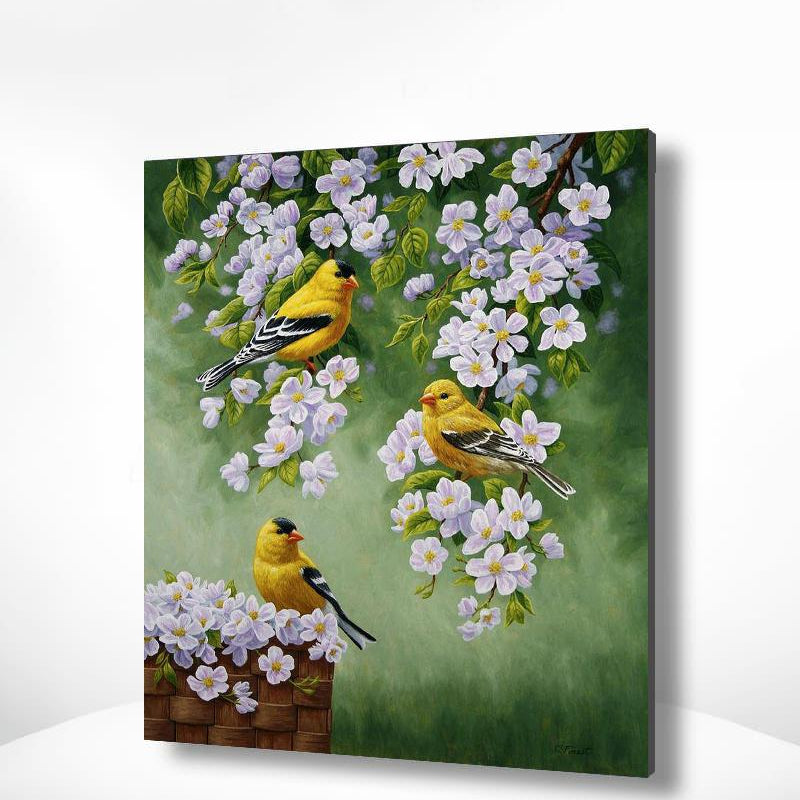 Schilderen op nummer Gele Vogeltjes met Witte Bloemen