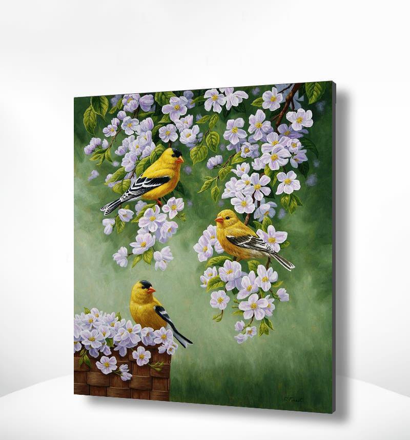 Schilderen op nummer Gele Vogeltjes met Witte Bloemen