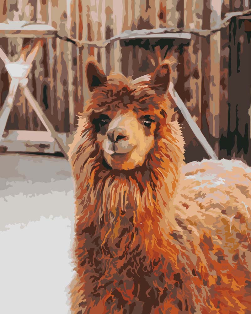 Schilderen op nummer Lama