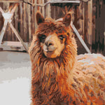 Schilderen op nummer Lama