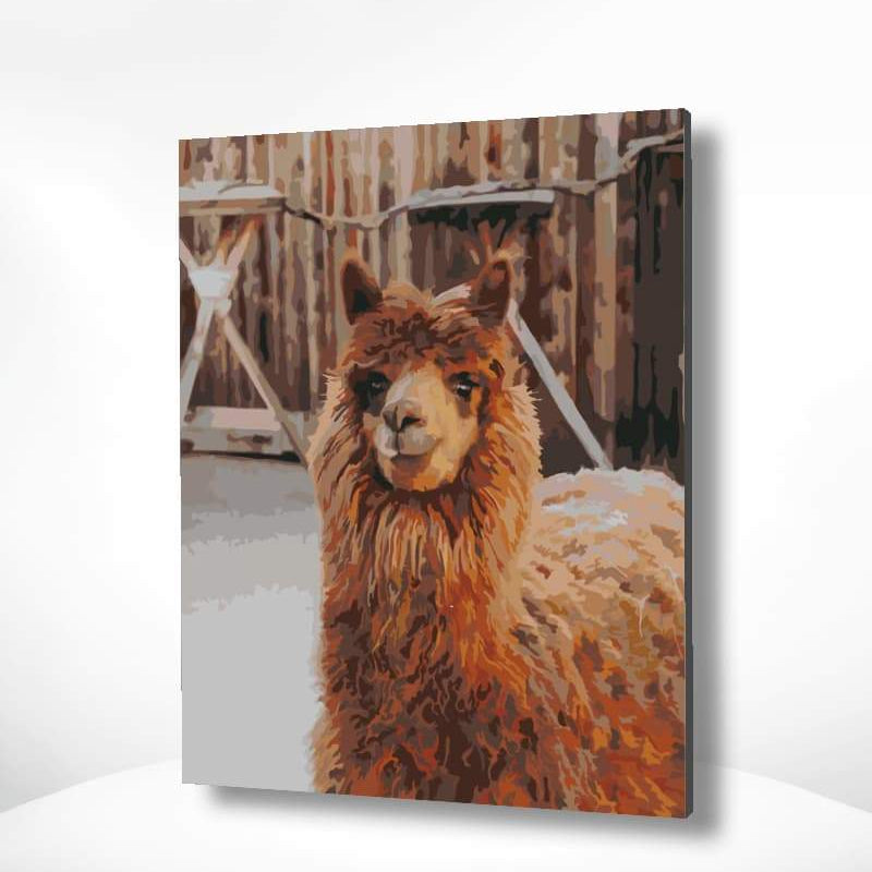 Schilderen op nummer Lama