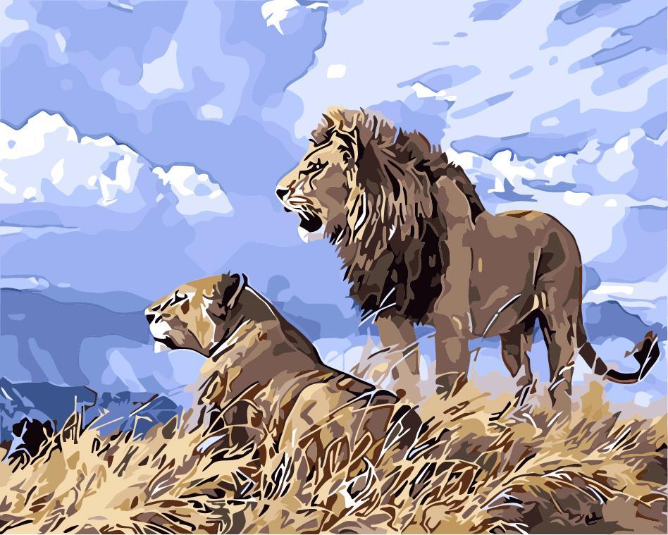 Schilderen op nummer Leeuwen Blauwe Lucht-Painting Expert