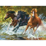 Schilderen op nummer Paarden in Zee