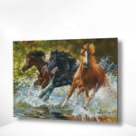 Schilderen op nummer Paarden in Zee