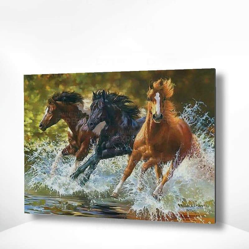 Schilderen op nummer Paarden in Zee