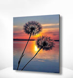 Schilderen op nummer Paardenbloem Zonsondergang-Painting Expert