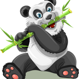 Schilderen op nummer Panda met Bamboe