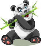 Schilderen op nummer Panda met Bamboe-Painting Expert