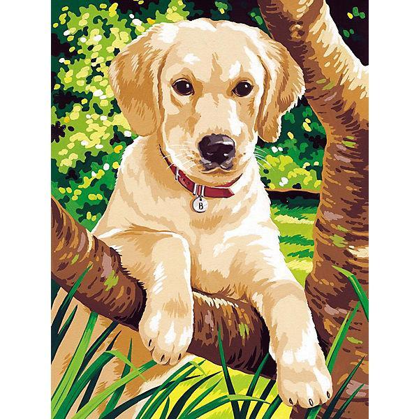 Schilderen op nummer Puppy Labrador-Painting Expert