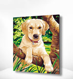 Schilderen op nummer Puppy Labrador-Painting Expert