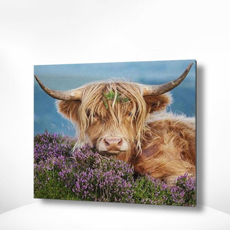 Schilderen op nummer Schotse Hooglander met Bloemen