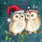 Schilderen op nummer Uilen Kerstmis