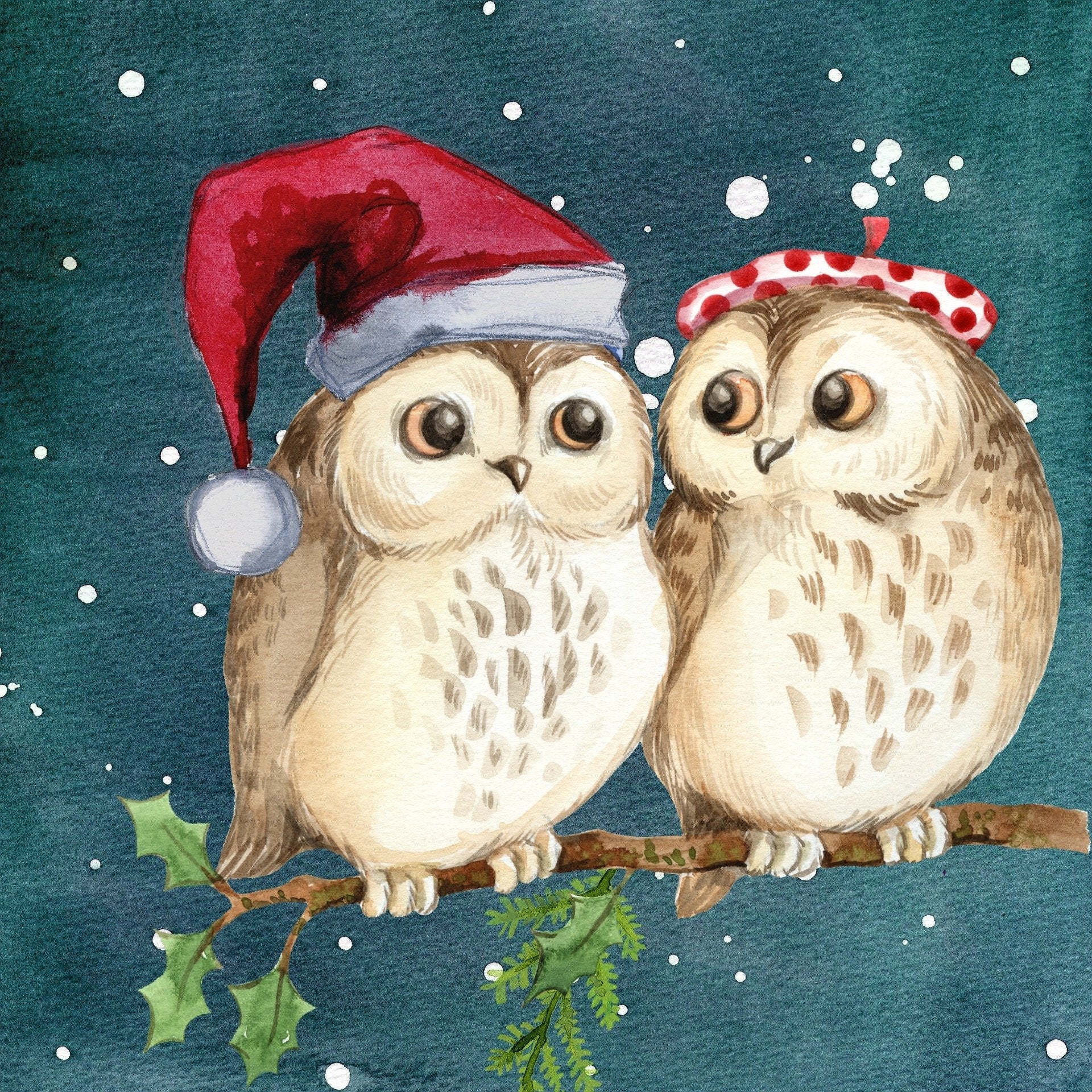 Schilderen op nummer Uilen Kerstmis