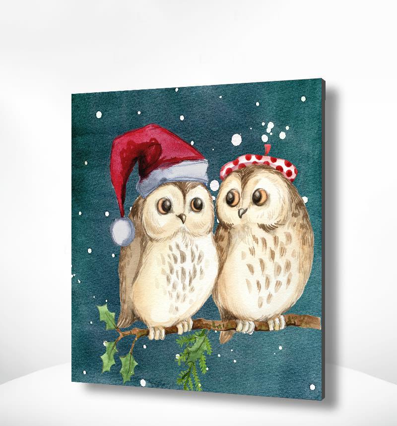 Schilderen op nummer Uilen Kerstmis