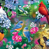 Schilderen op nummer Vogeltjes met Bloemetjes