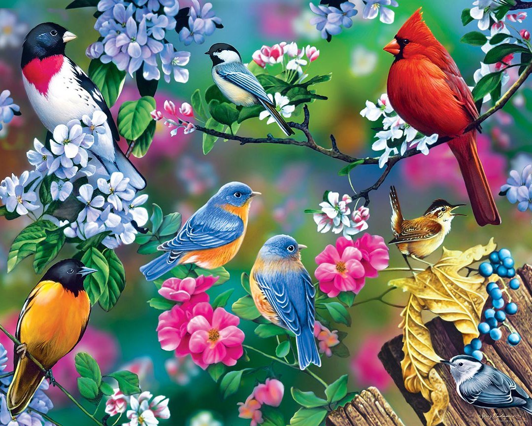 Schilderen op nummer Vogeltjes met Bloemetjes