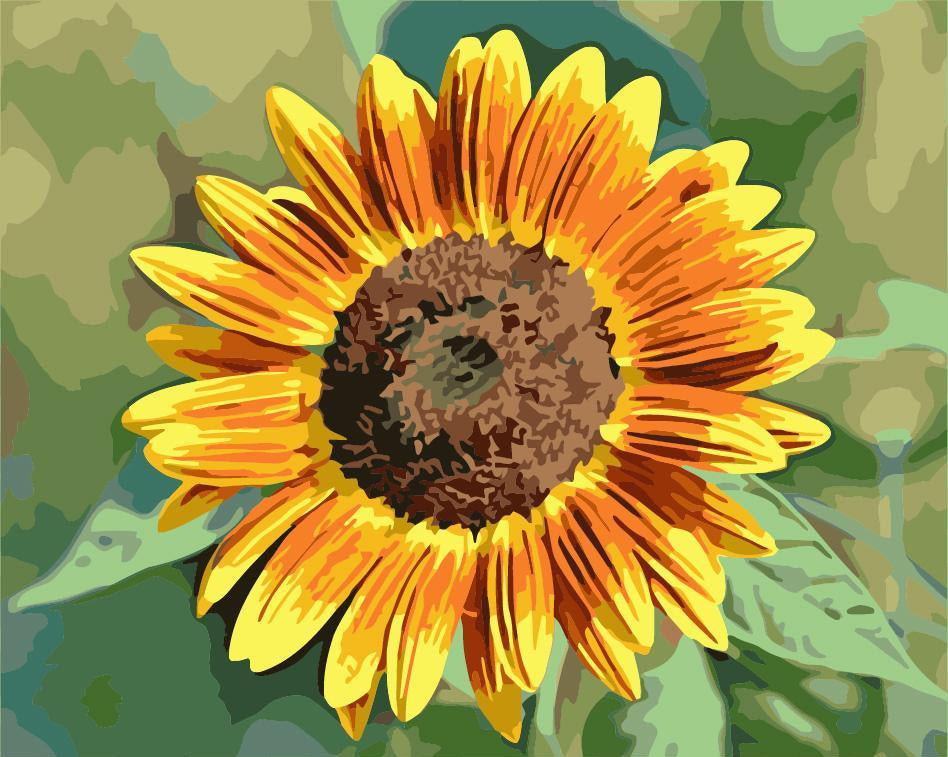 Schilderen op nummer Zonnebloem Geel Oranje