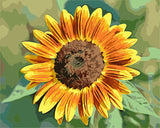 Schilderen op nummer Zonnebloem Geel Oranje-Painting Expert